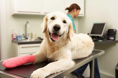 Bridgerland-Cache Animal Hospital